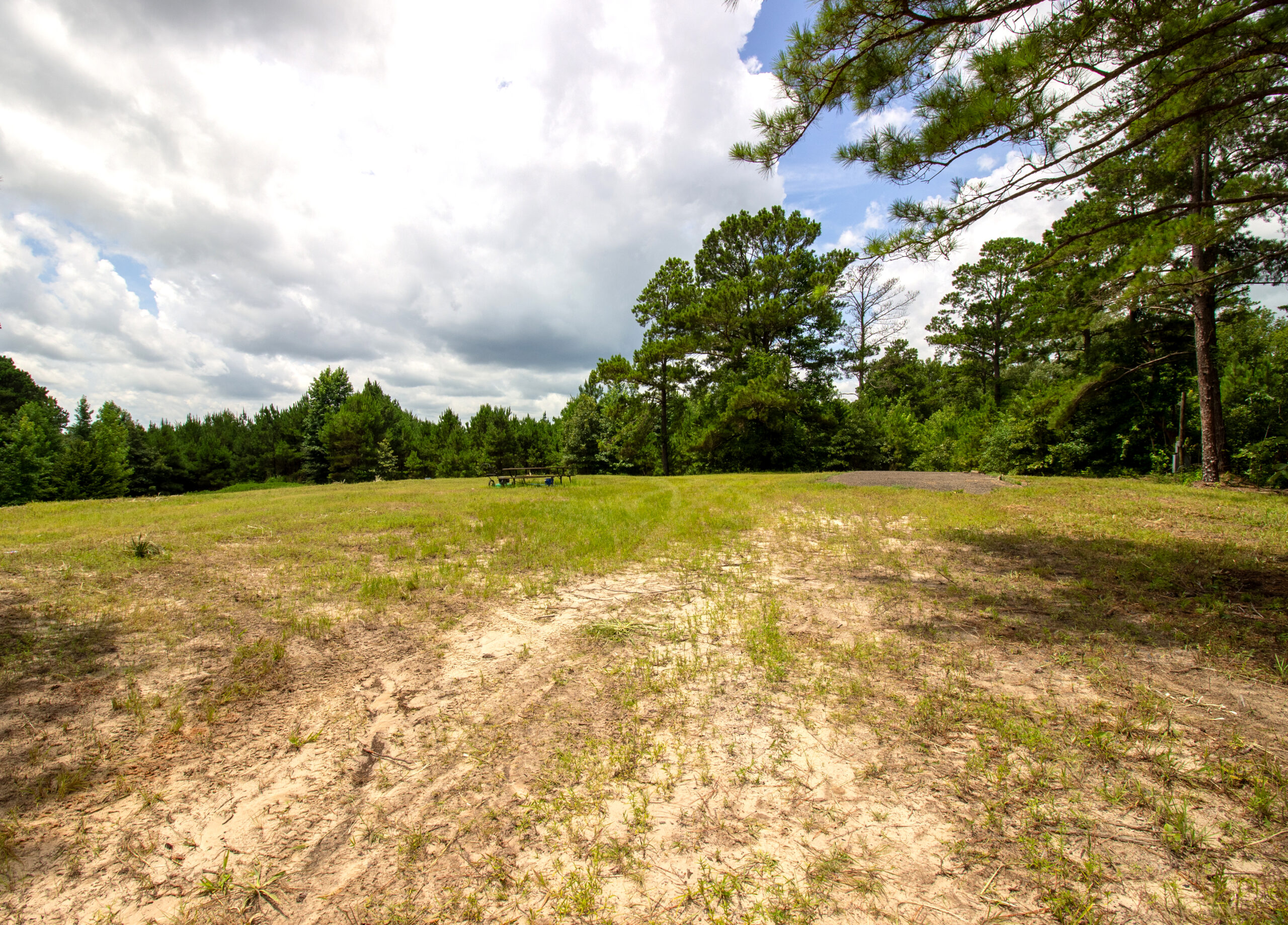 Reed Ranch – East Texas Hunting & Timber Property