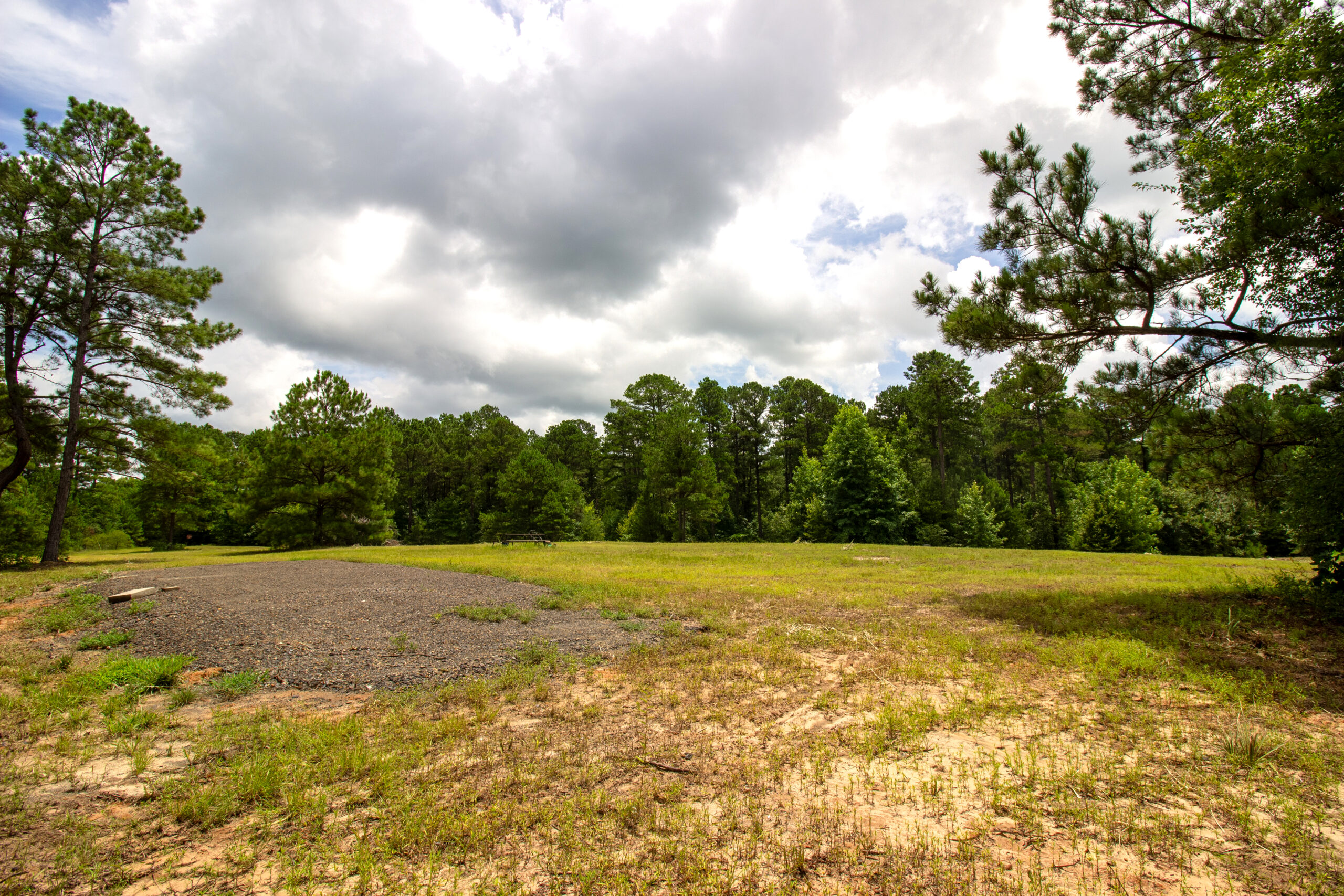 Reed Ranch – East Texas Hunting & Timber Property