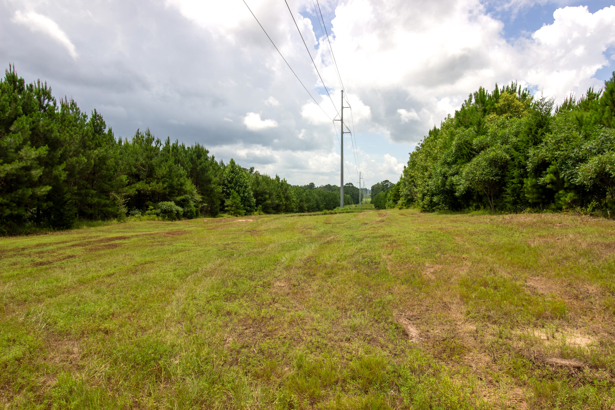Reed Ranch – East Texas Hunting & Timber Property