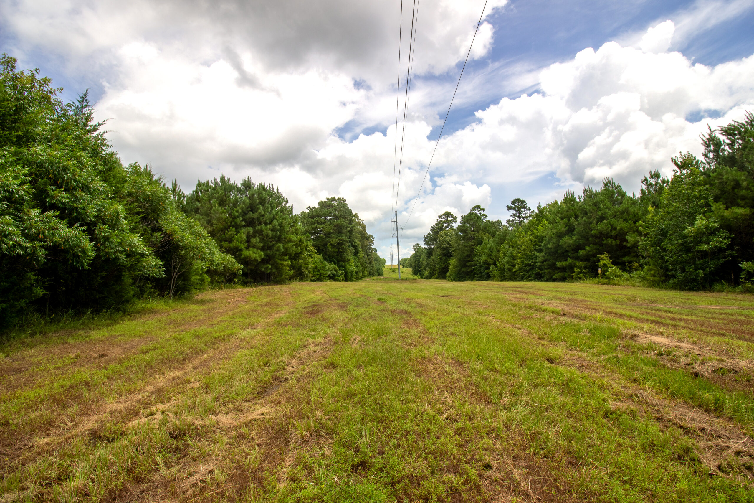 Reed Ranch – East Texas Hunting & Timber Property