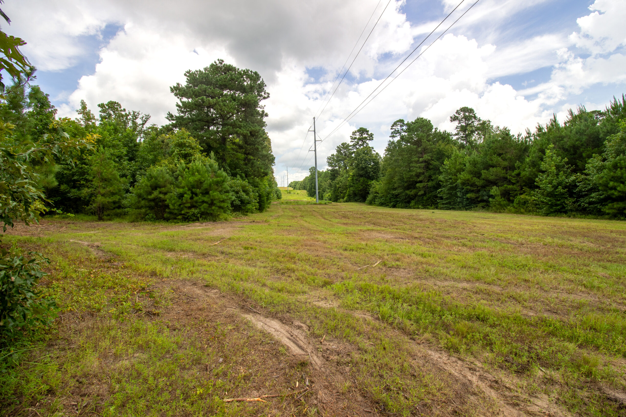 Reed Ranch – East Texas Hunting & Timber Property