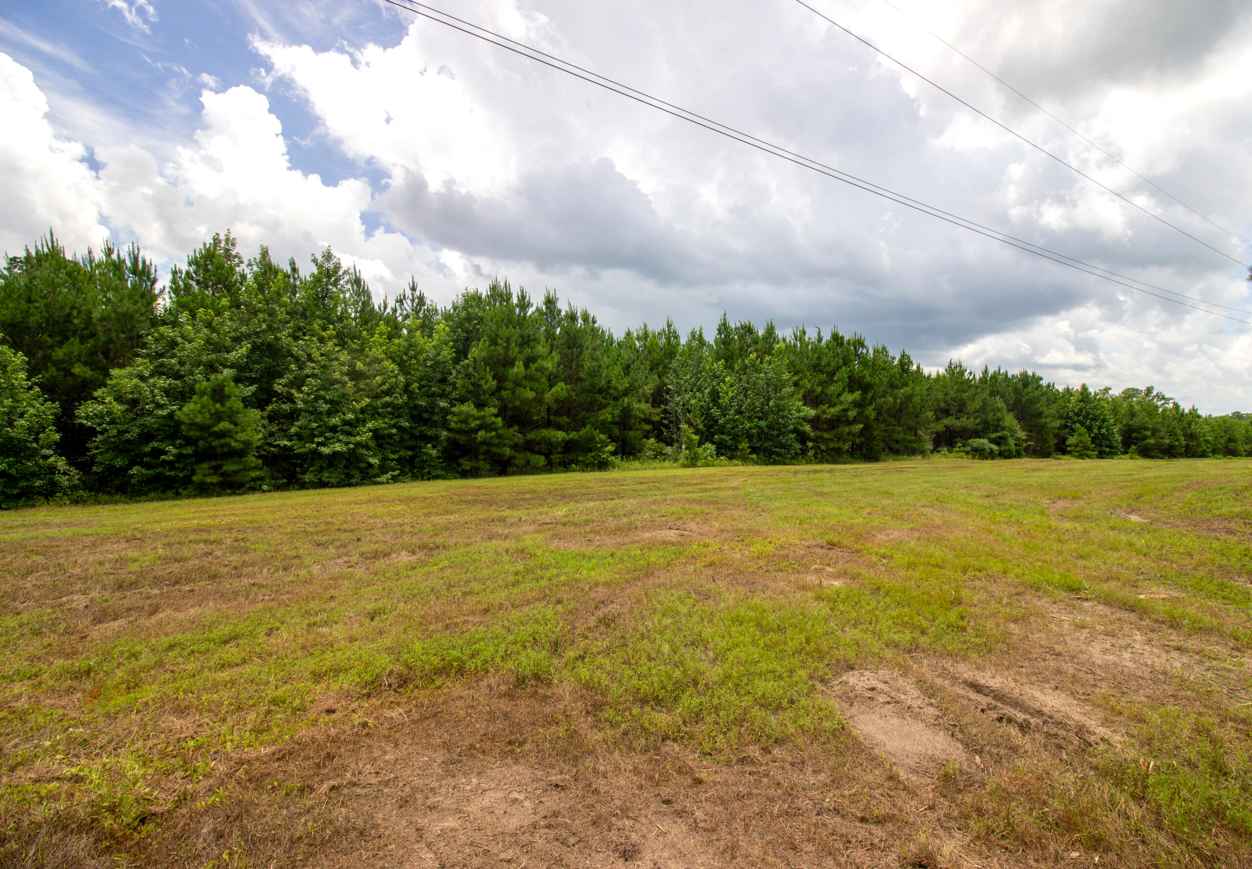 Reed Ranch – East Texas Hunting & Timber Property