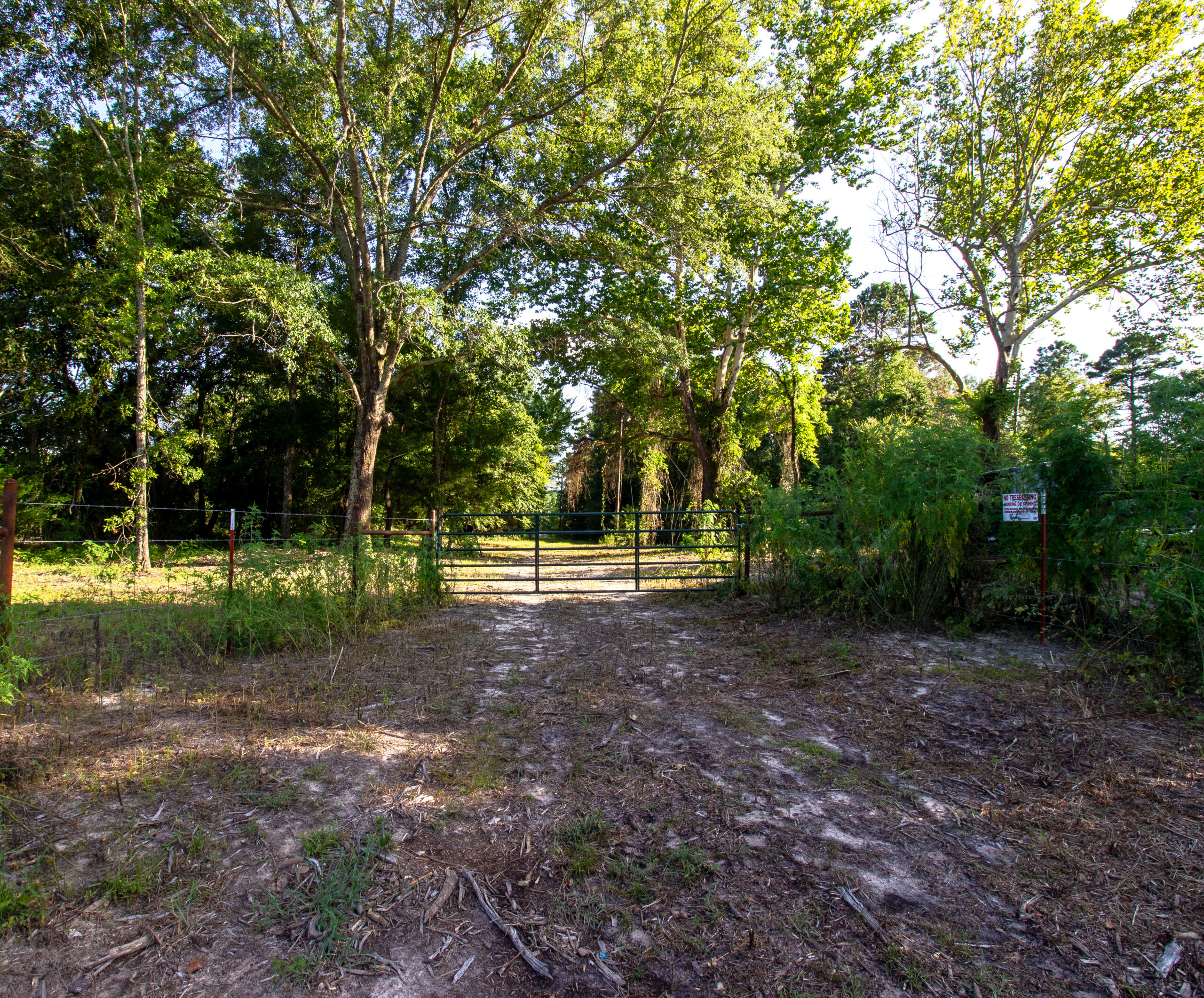 Reed Ranch – East Texas Hunting & Timber Property