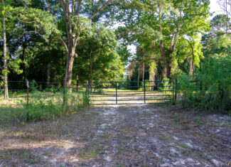 Reed Ranch – East Texas Hunting & Timber Property