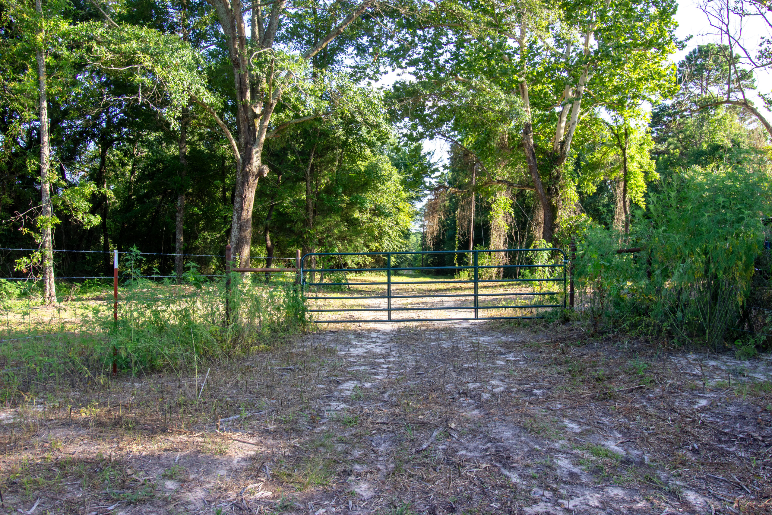 Reed Ranch – East Texas Hunting & Timber Property