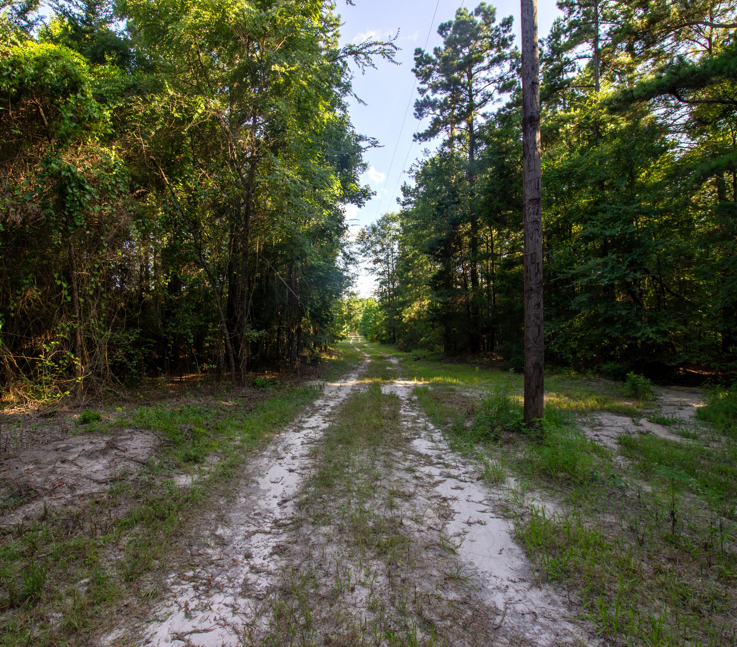 Reed Ranch – East Texas Hunting & Timber Property
