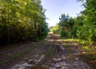 Reed Ranch – East Texas Hunting & Timber Property