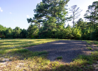 Reed Ranch – East Texas Hunting & Timber Property