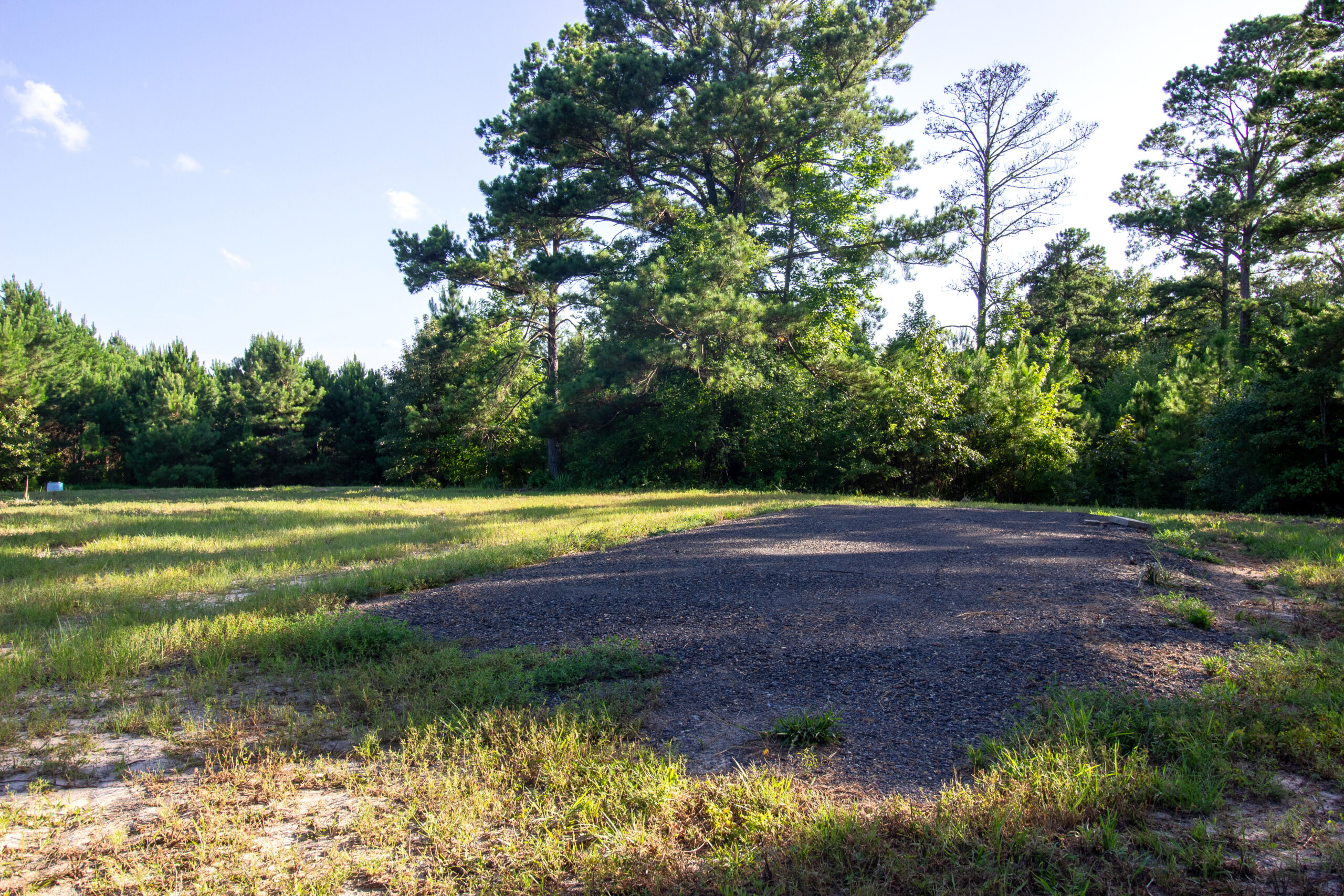 Reed Ranch – East Texas Hunting & Timber Property