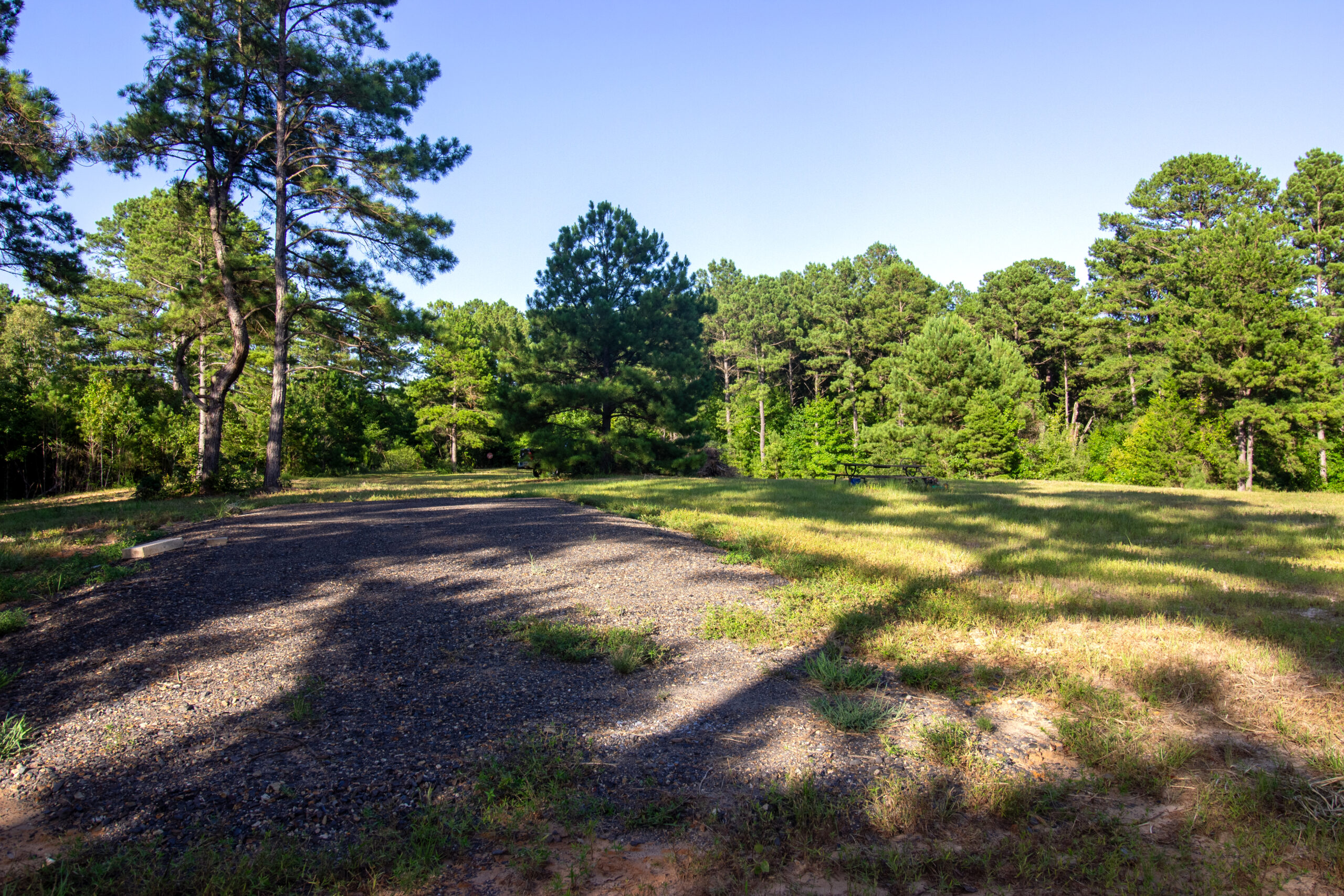Reed Ranch – East Texas Hunting & Timber Property
