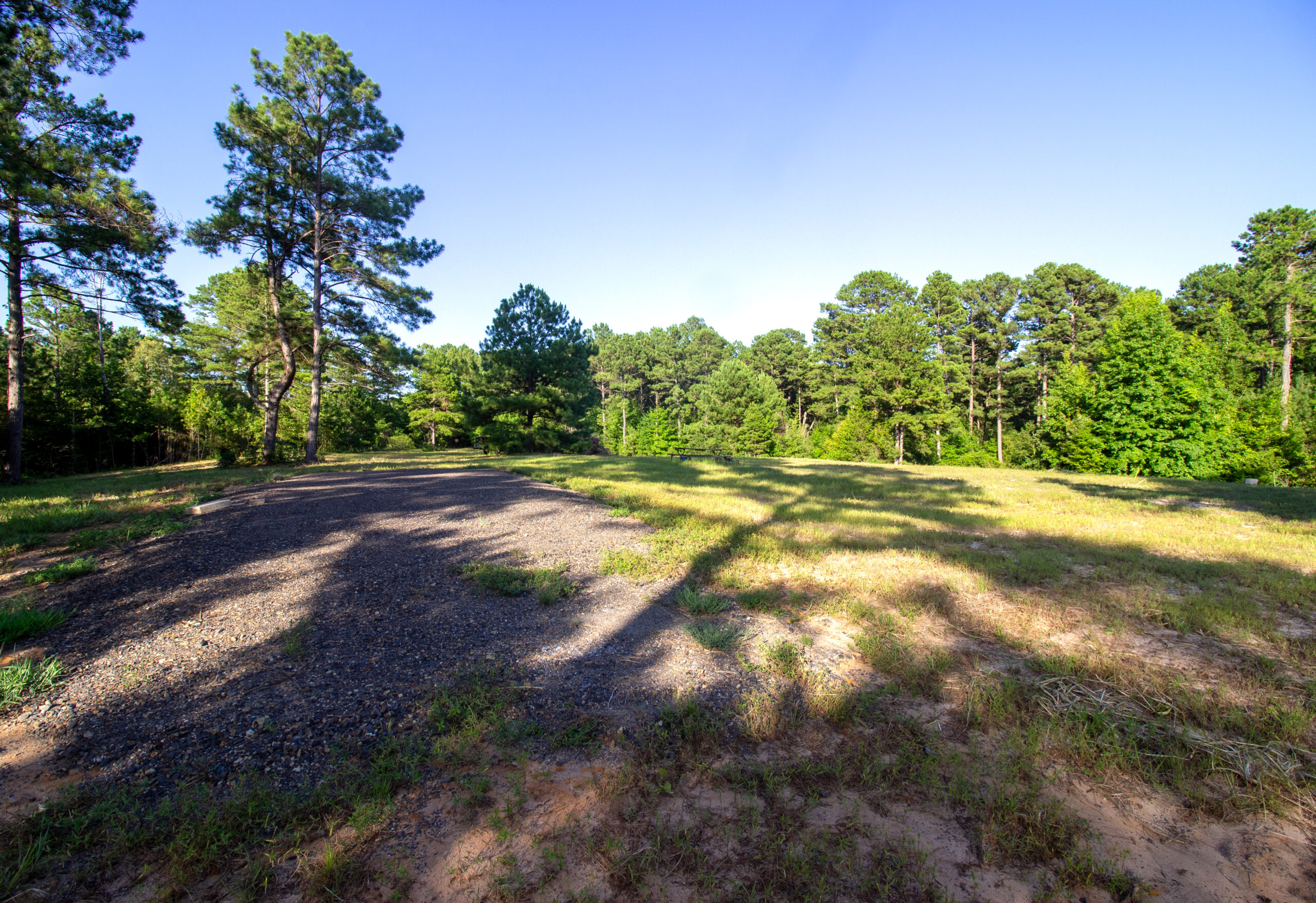 Reed Ranch – East Texas Hunting & Timber Property
