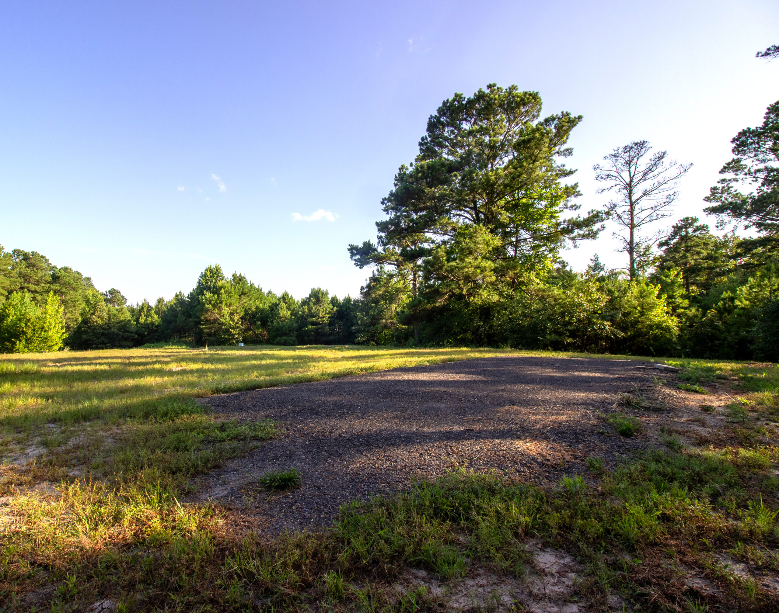 Reed Ranch – East Texas Hunting & Timber Property