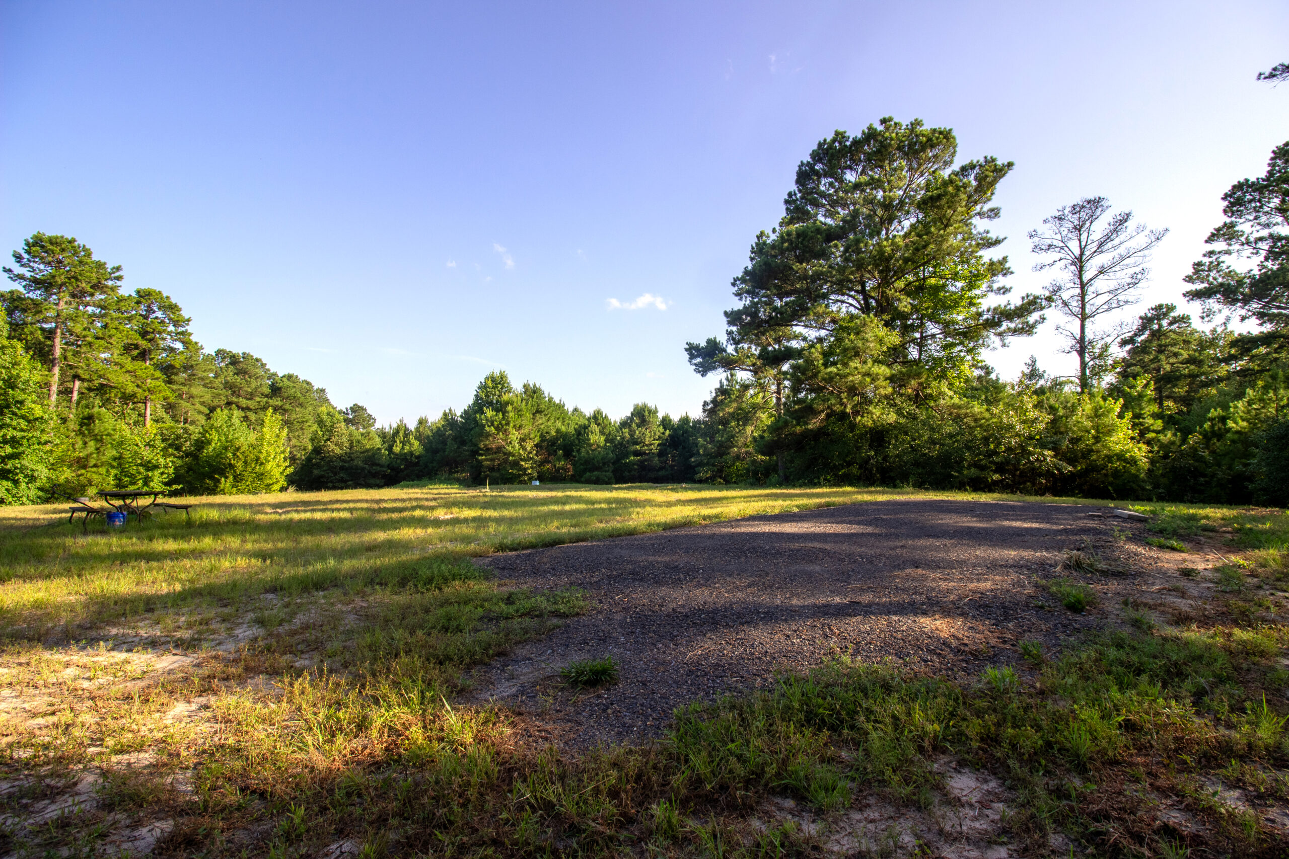 Reed Ranch – East Texas Hunting & Timber Property
