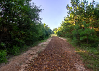Reed Ranch – East Texas Hunting & Timber Property