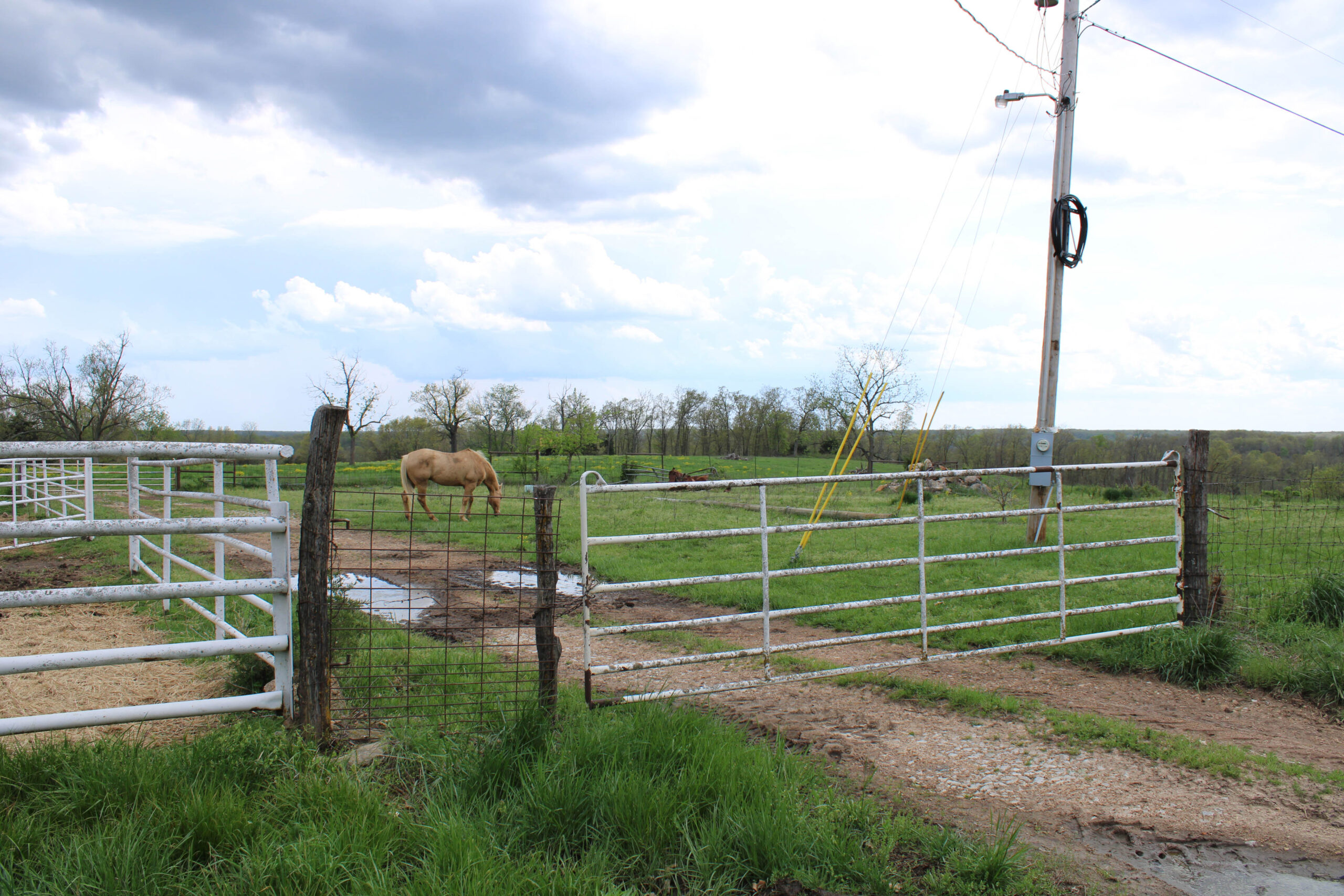 Ranch/ Hunting Property for Sale, St. Clair County Missouri