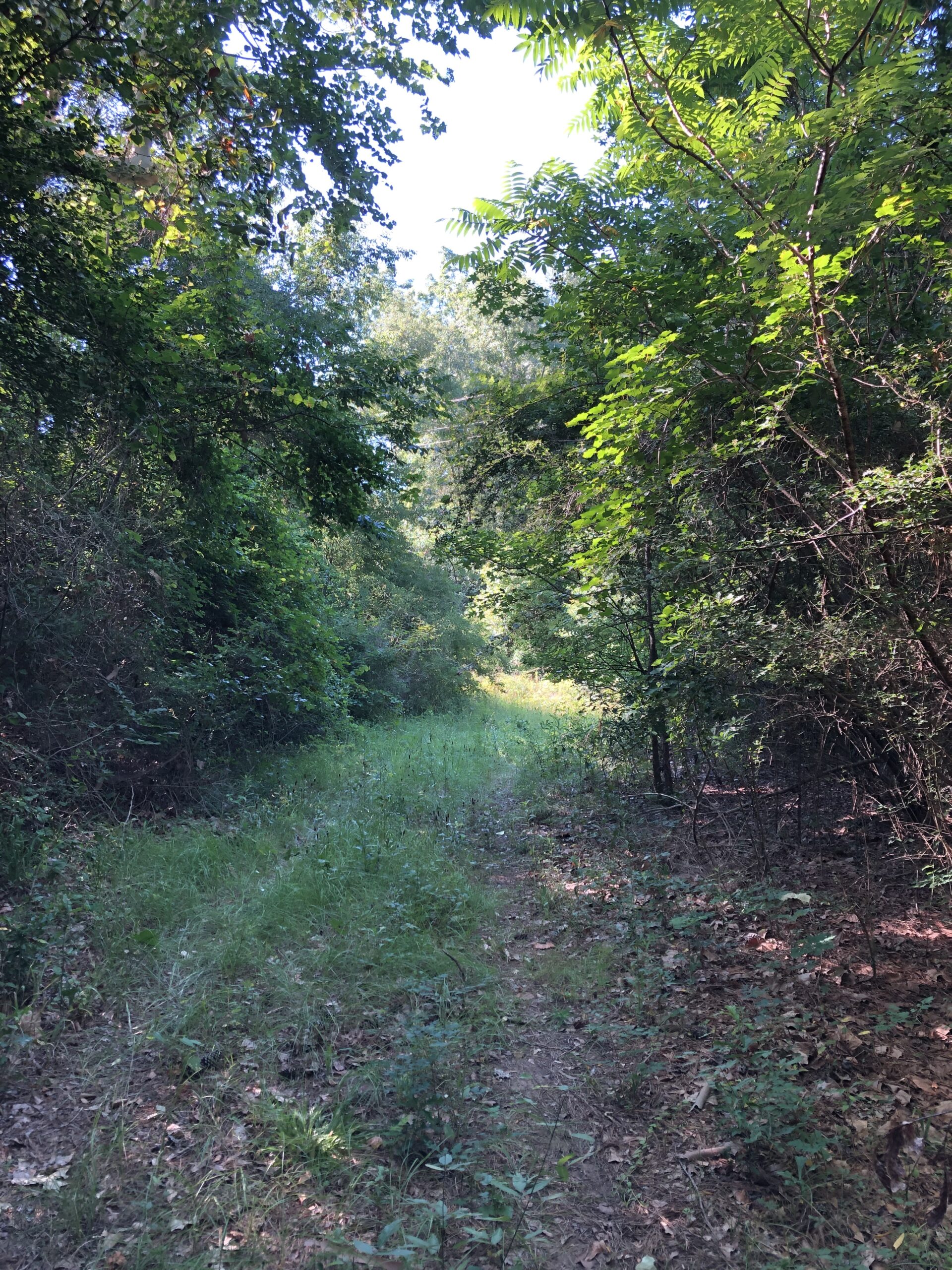 East Texas Hunting/Recreational Land For Sale