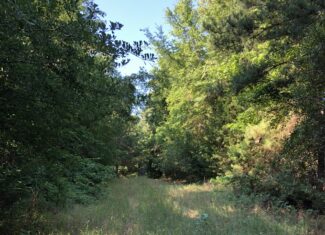 East Texas Hunting/Recreational Land For Sale