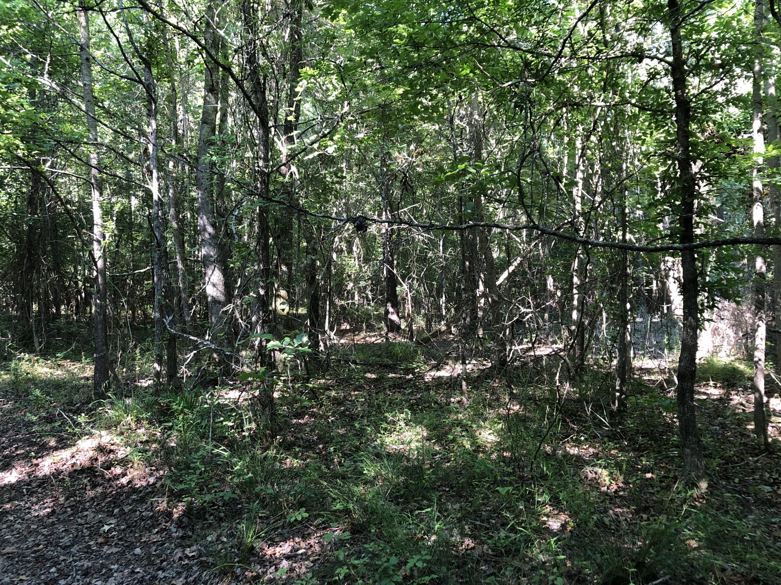 East Texas Hunting/Recreational Land For Sale
