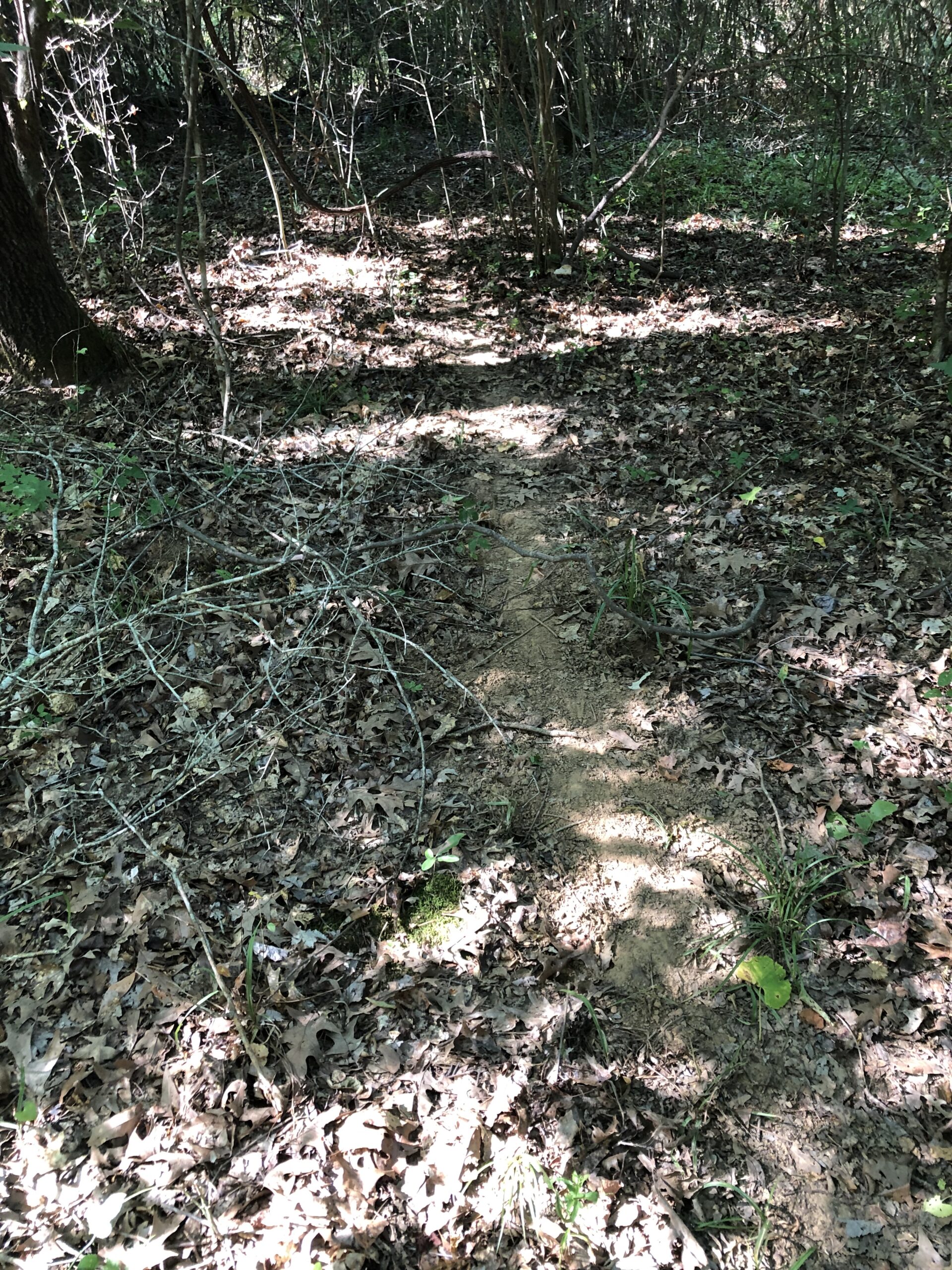 East Texas Hunting/Recreational Land For Sale