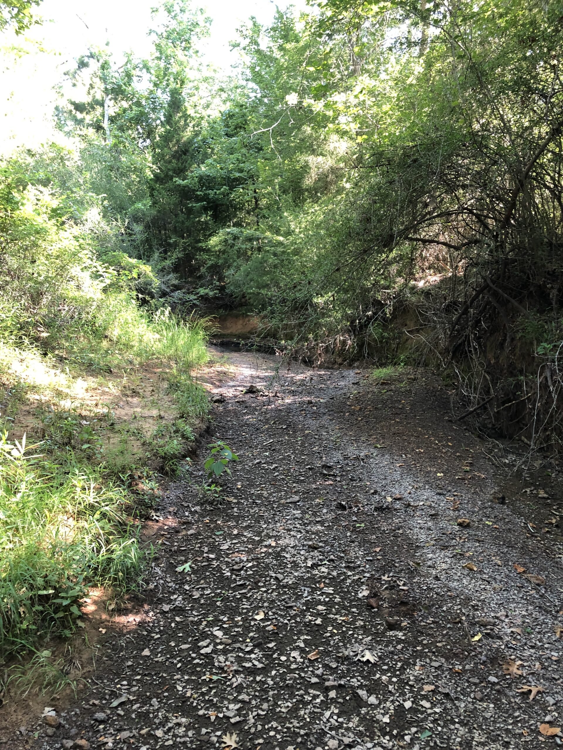 East Texas Hunting/Recreational Land For Sale