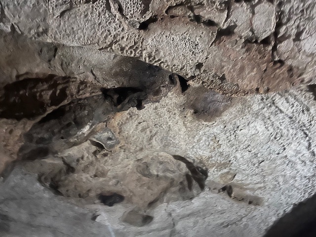 Large Cave and 90 Acres For Sale