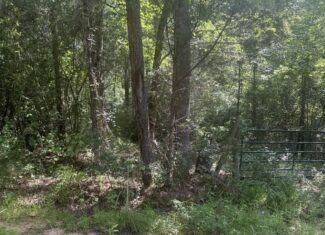 East Texas Hunting/Recreational Land For Sale