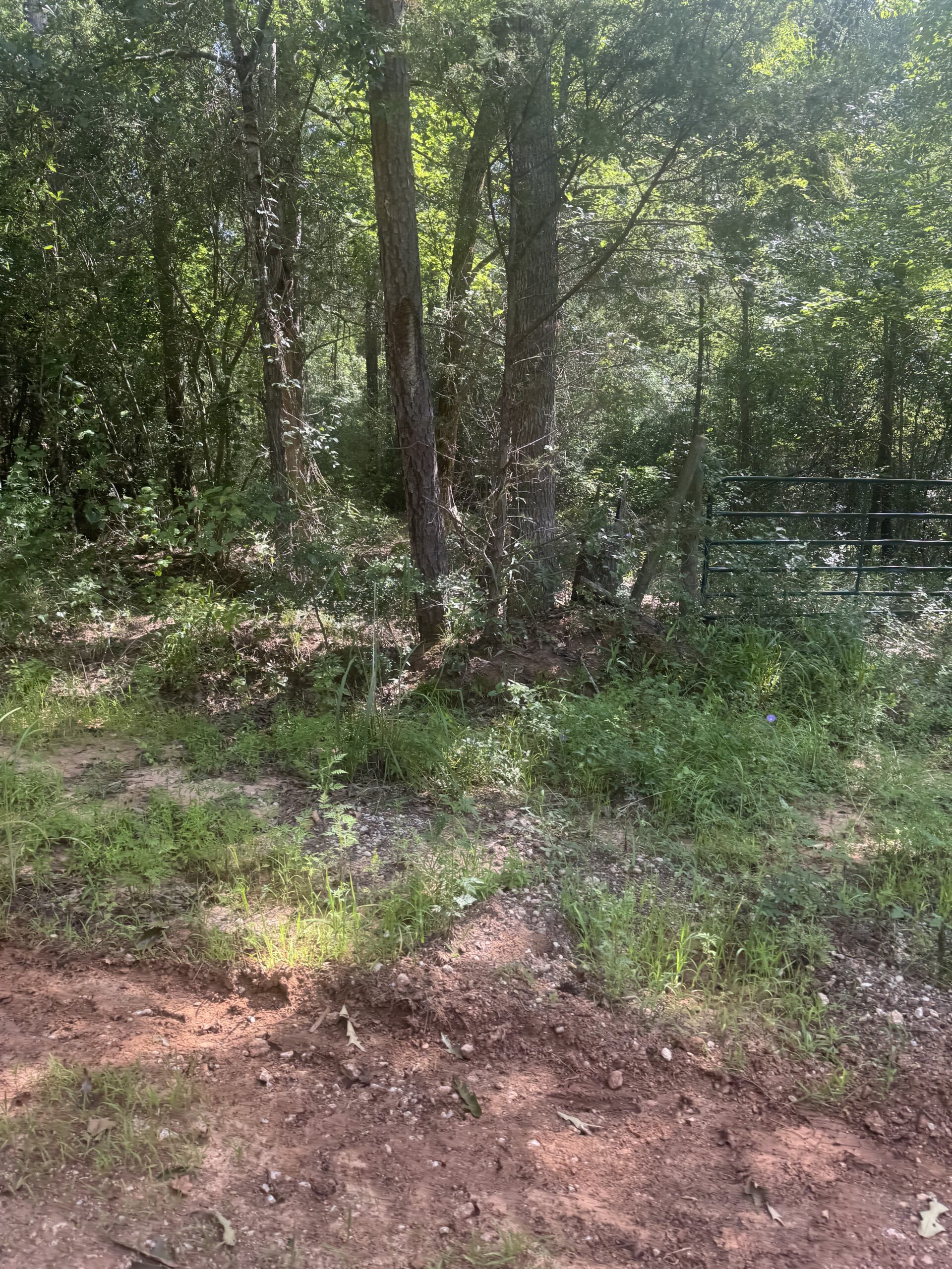 East Texas Hunting/Recreational Land For Sale