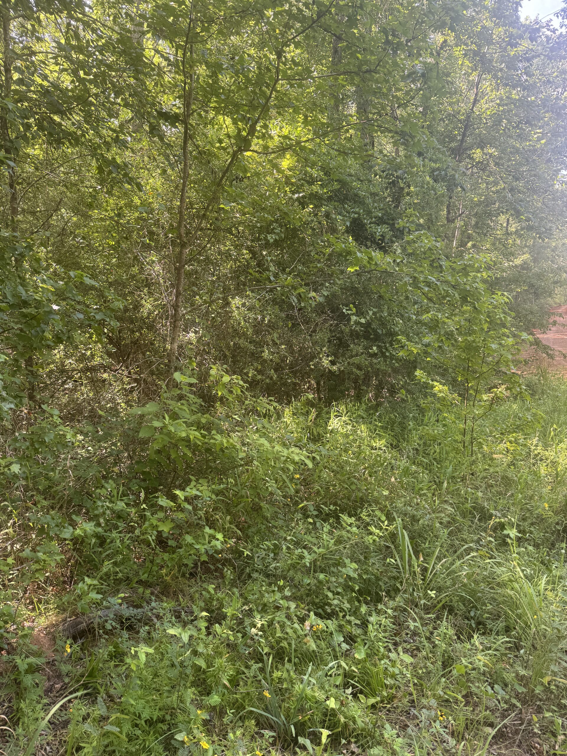 East Texas Hunting/Recreational Land For Sale
