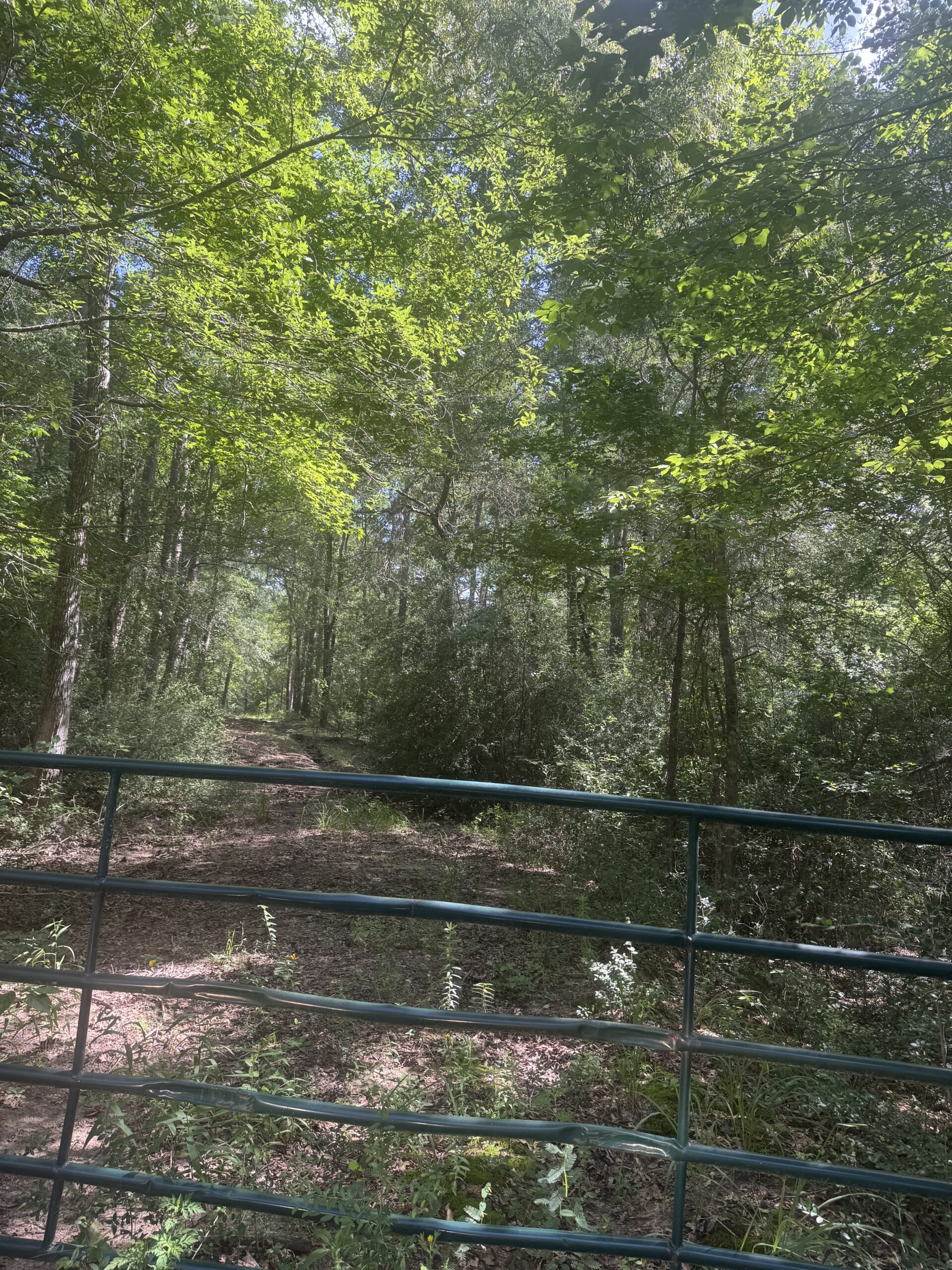 East Texas Hunting/Recreational Land For Sale