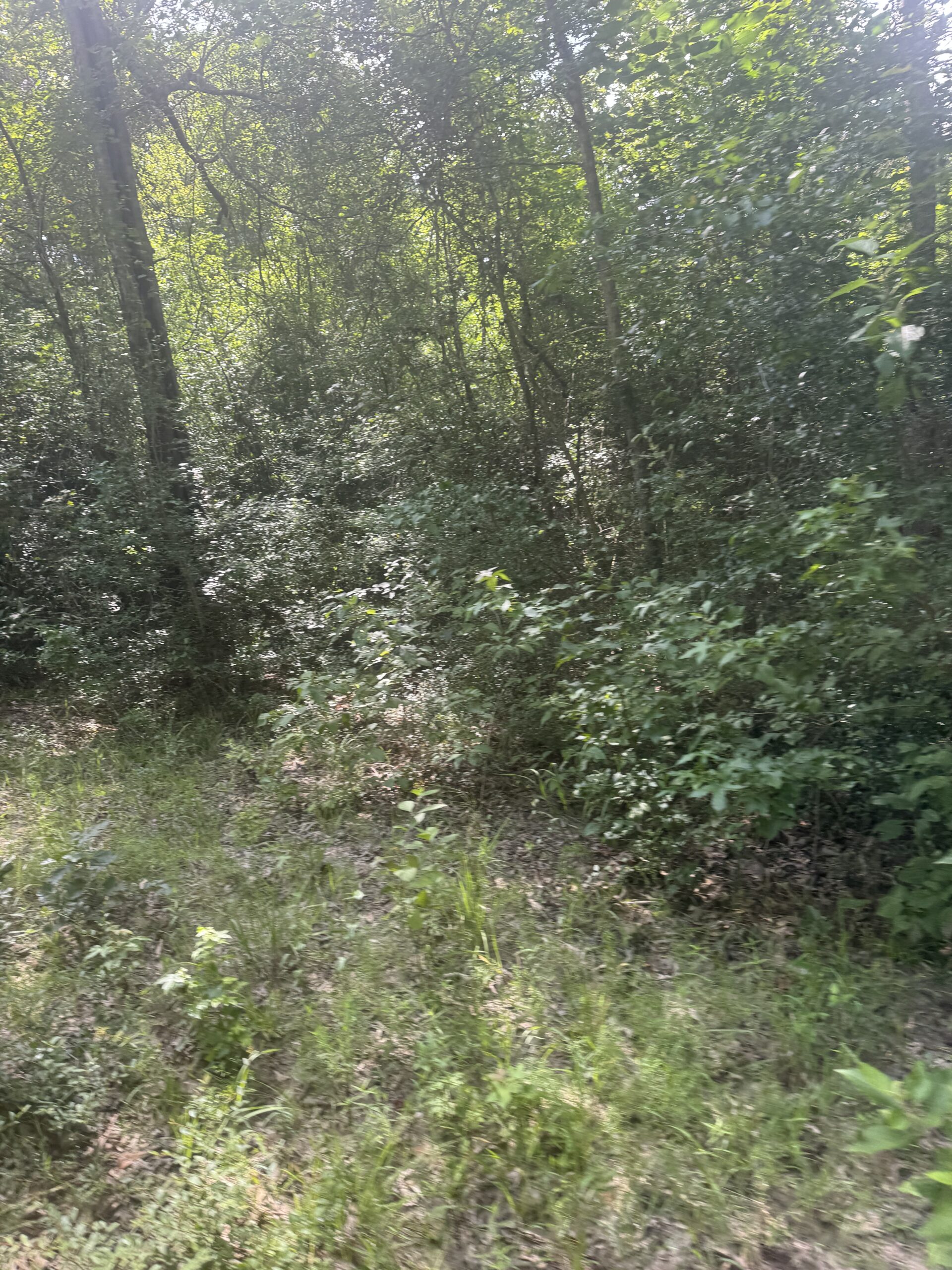 East Texas Hunting/Recreational Land For Sale