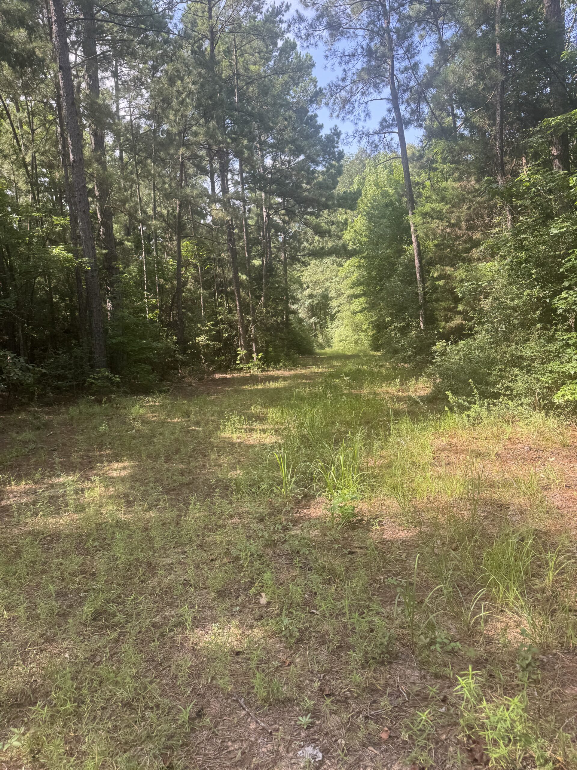 East Texas Hunting/Recreational Land For Sale