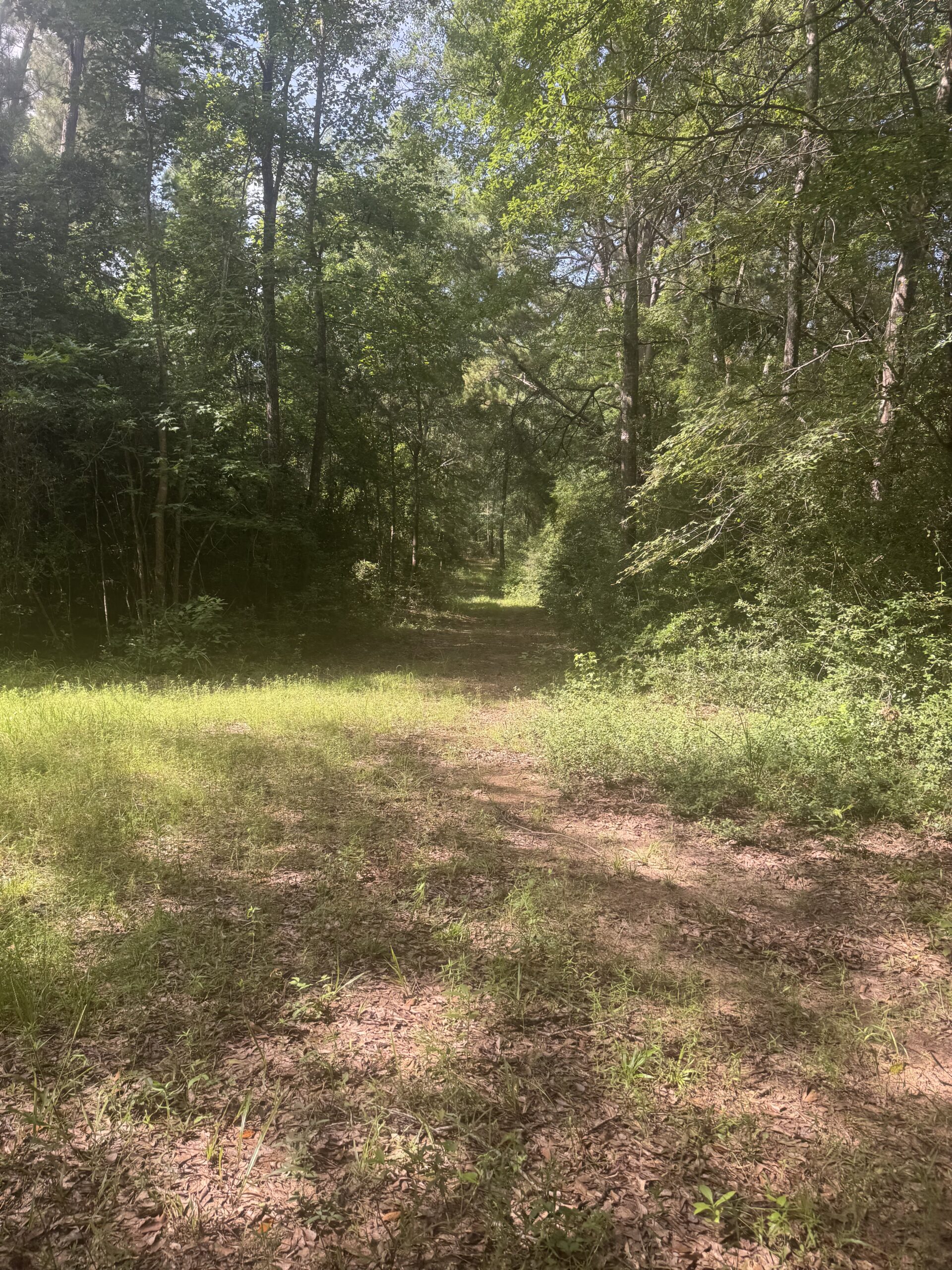 East Texas Hunting/Recreational Land For Sale