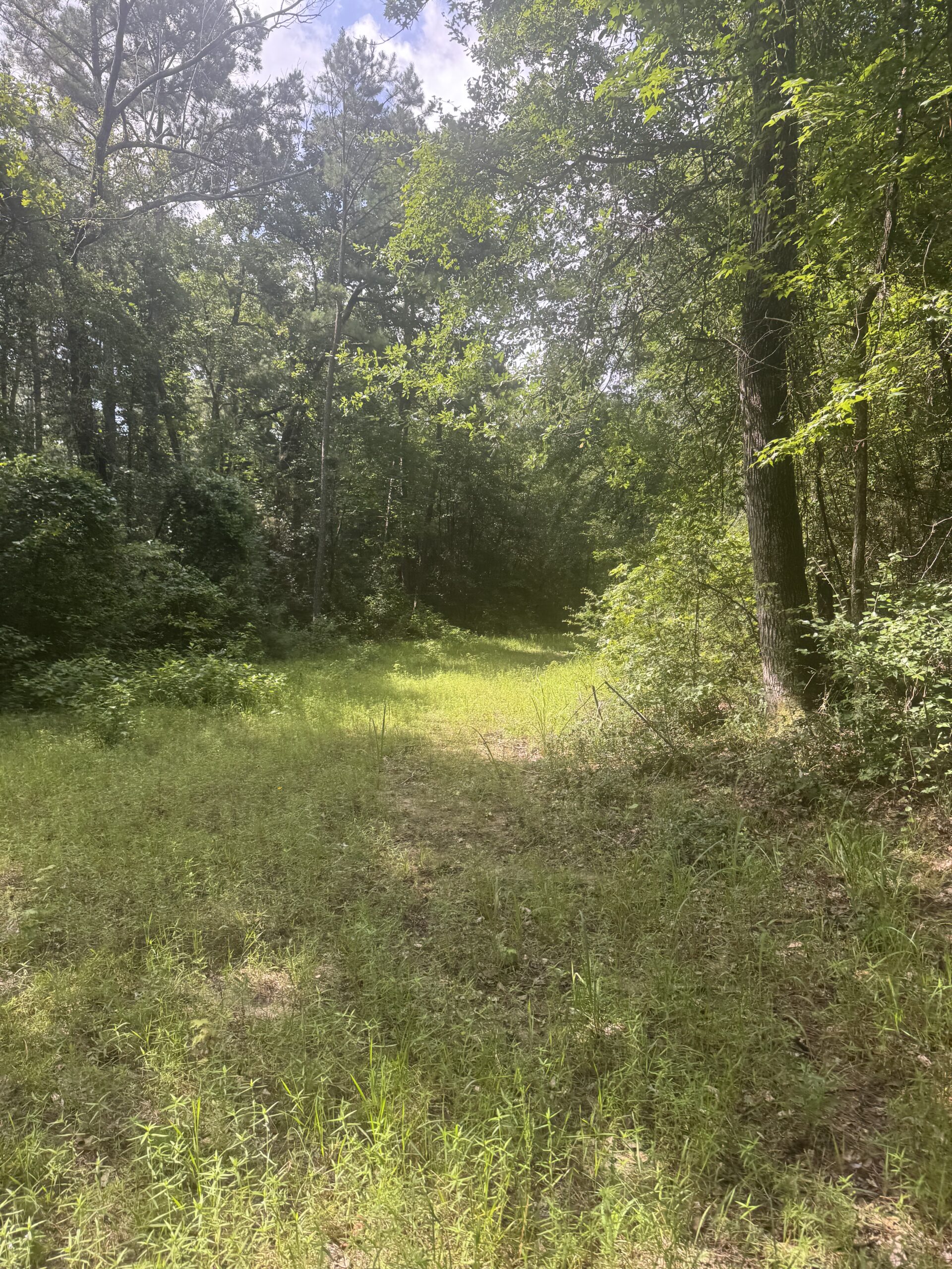 East Texas Hunting/Recreational Land For Sale