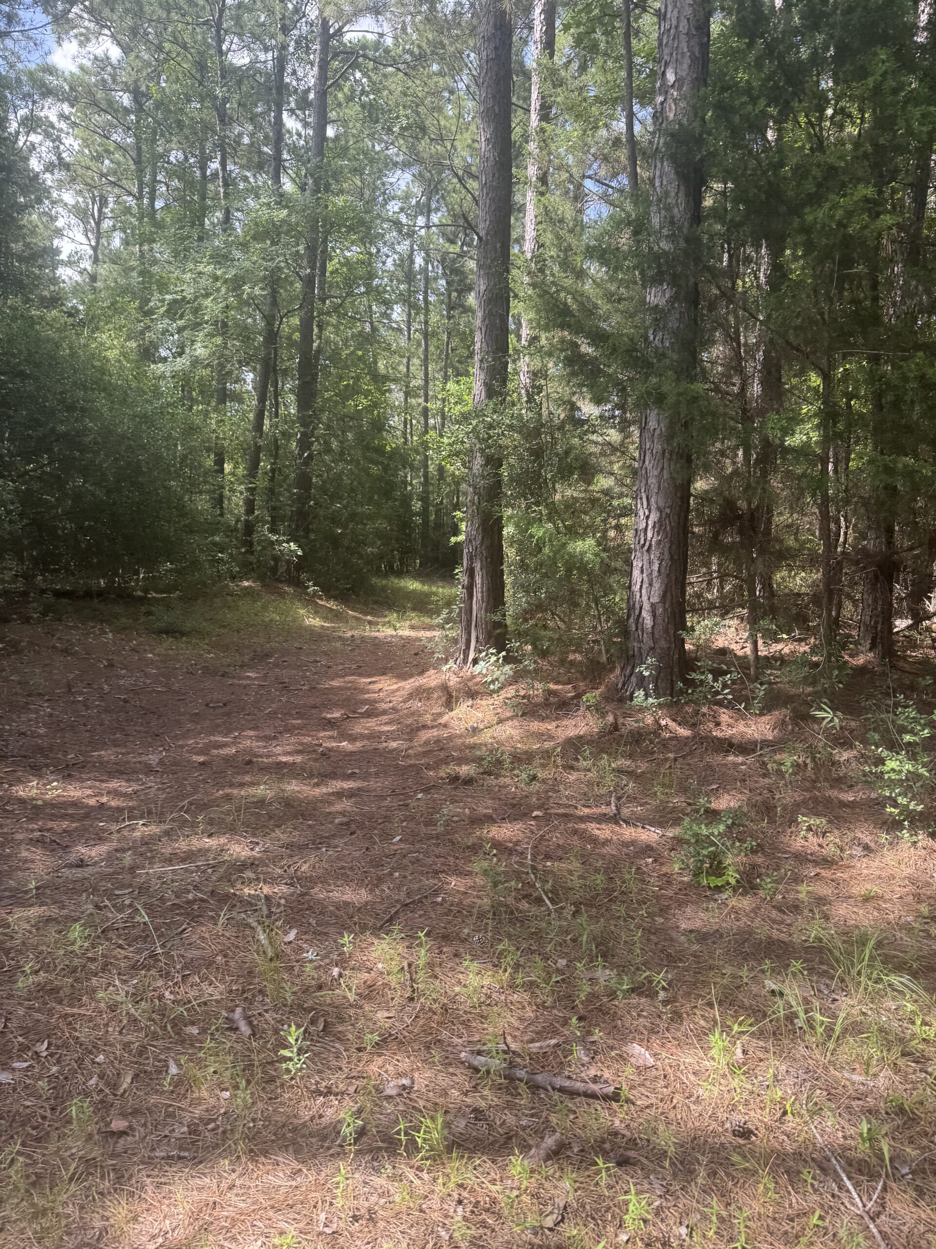 East Texas Hunting/Recreational Land For Sale