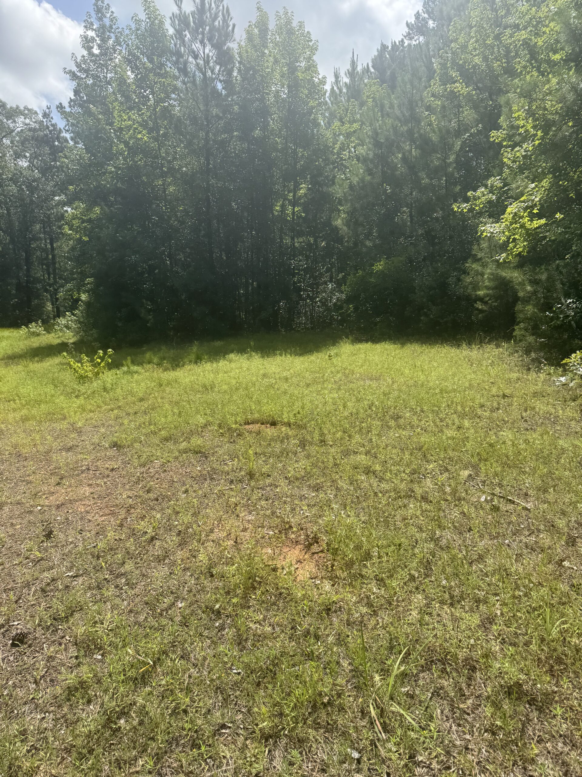 East Texas Hunting/Recreational Land For Sale