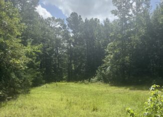 East Texas Hunting/Recreational Land For Sale
