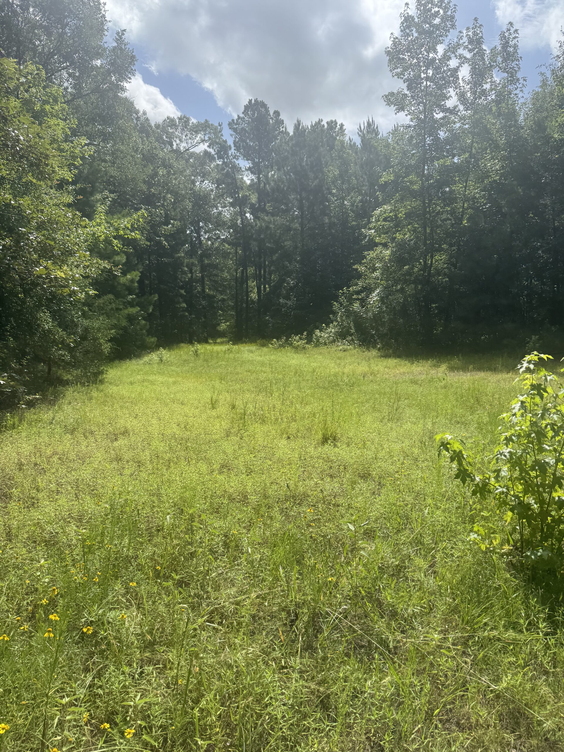 East Texas Hunting/Recreational Land For Sale