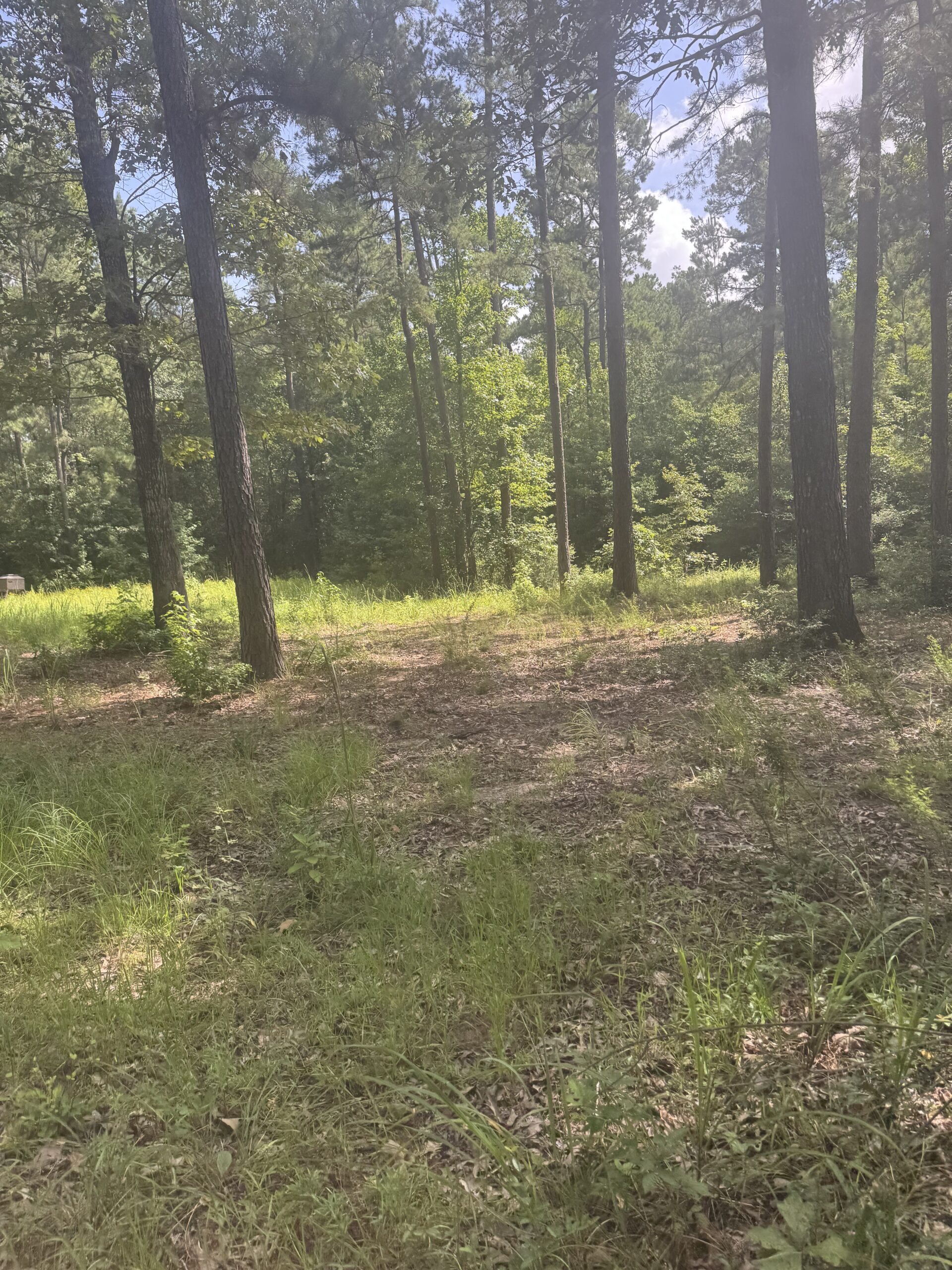 East Texas Hunting/Recreational Land For Sale