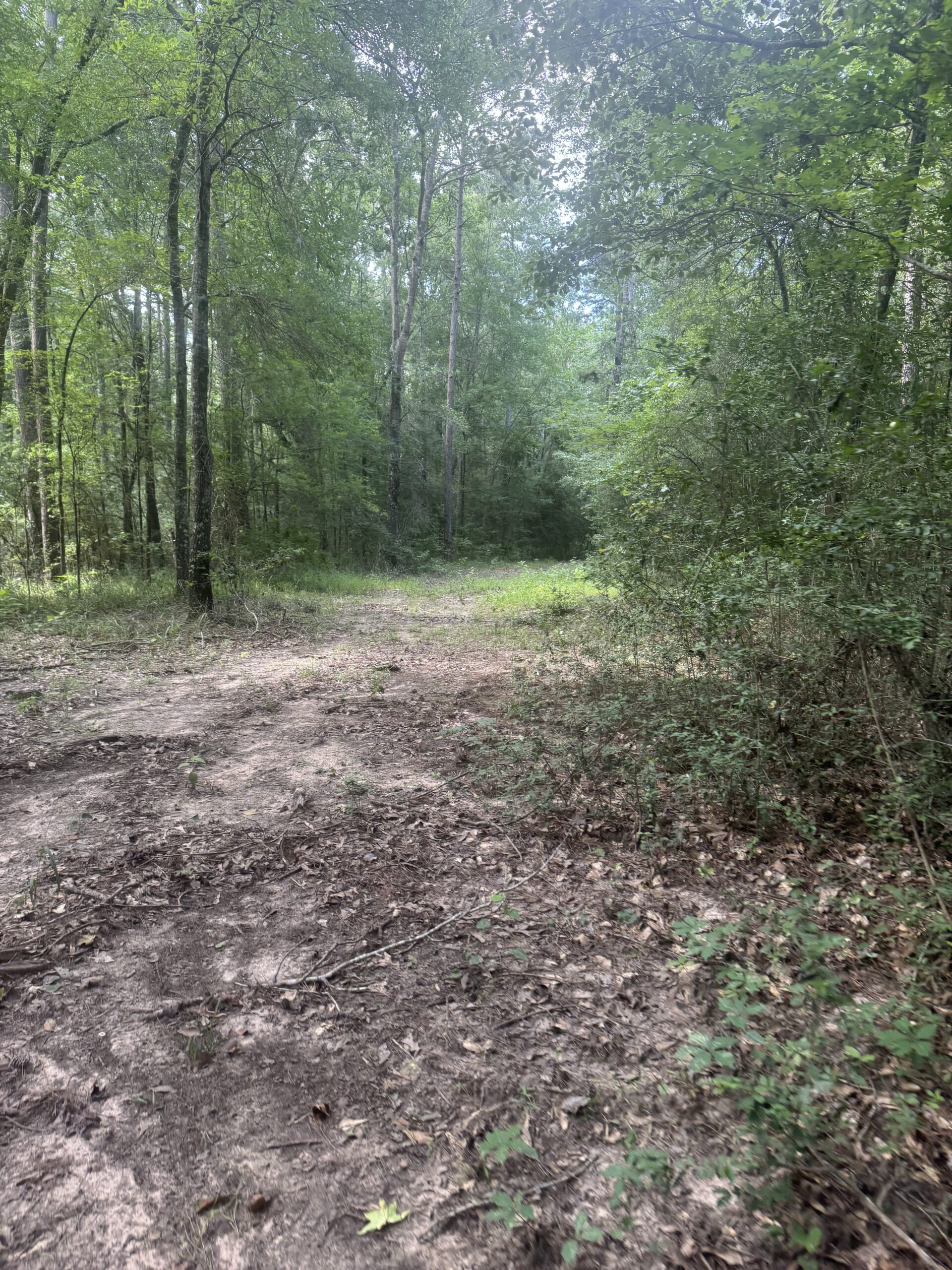 East Texas Hunting/Recreational Land For Sale