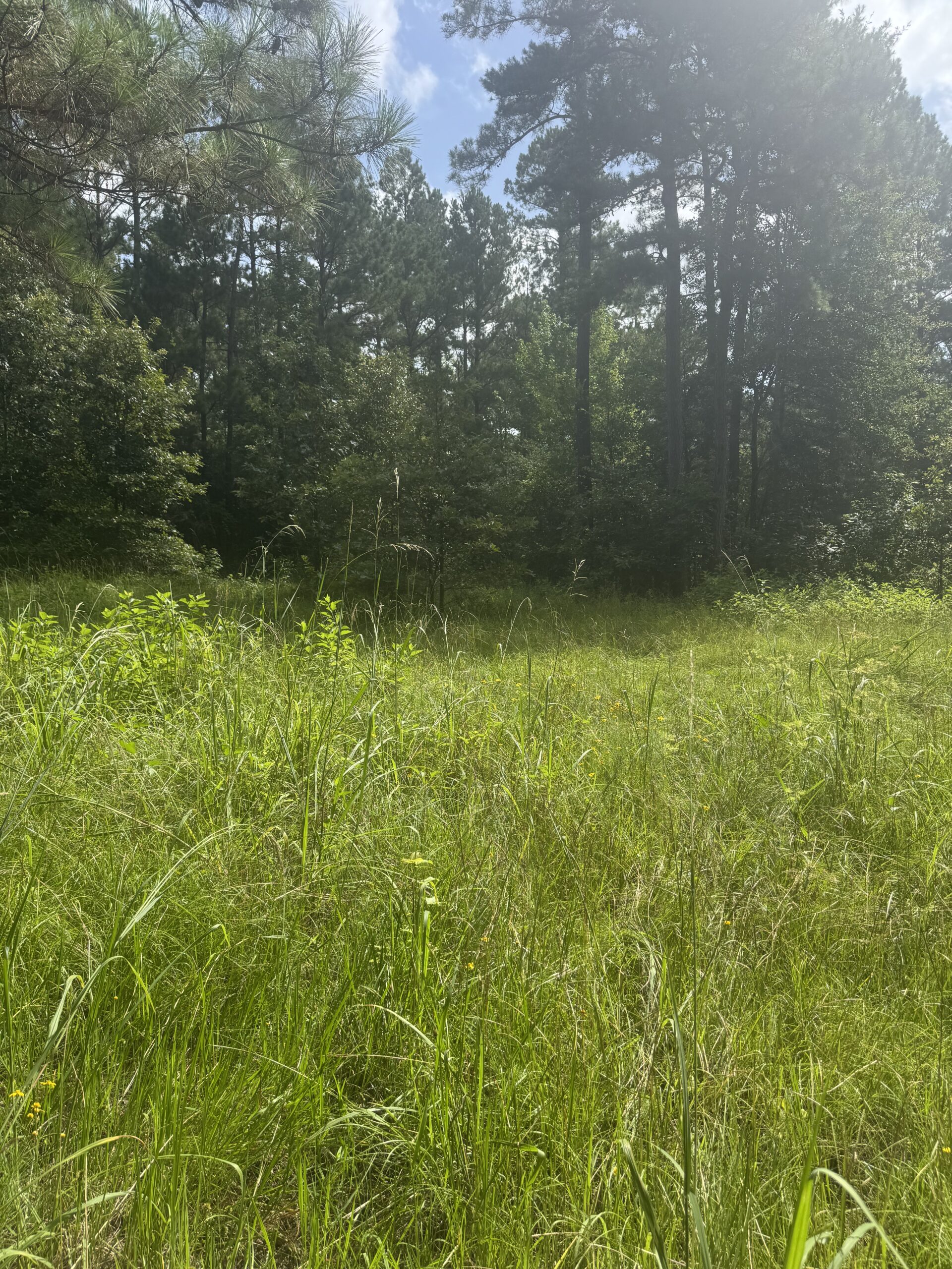 East Texas Hunting/Recreational Land For Sale