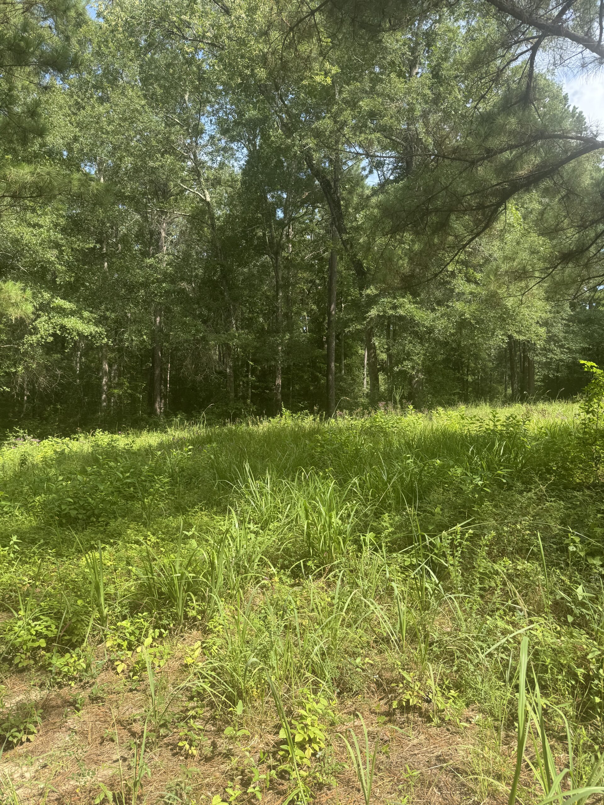East Texas Hunting/Recreational Land For Sale