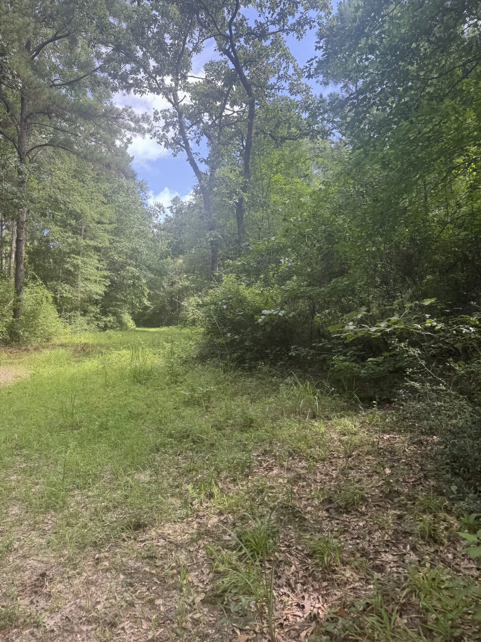 East Texas Hunting/Recreational Land For Sale