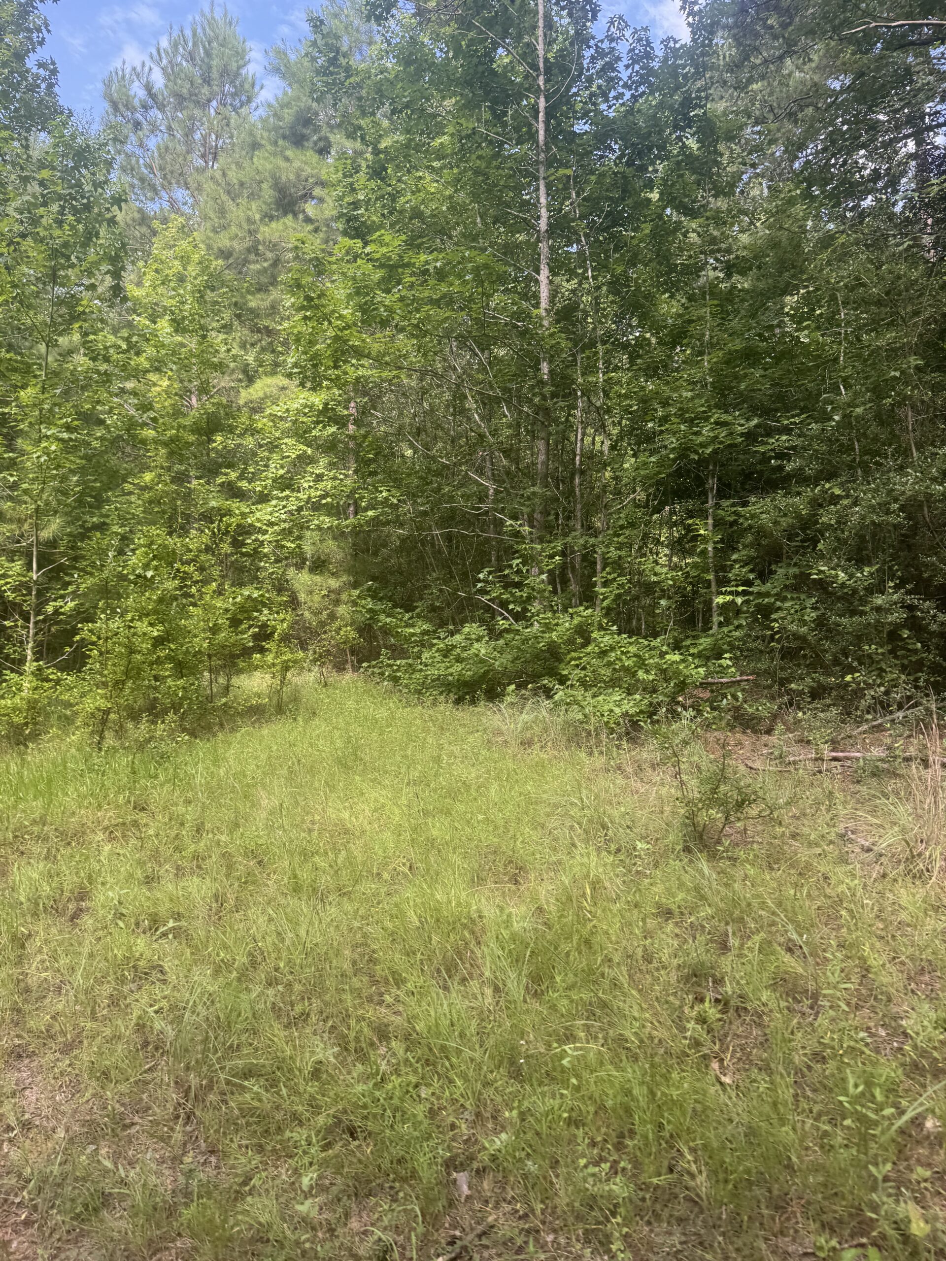 East Texas Hunting/Recreational Land For Sale
