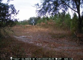 The best of South Georgia living-just outside of Vada, GA