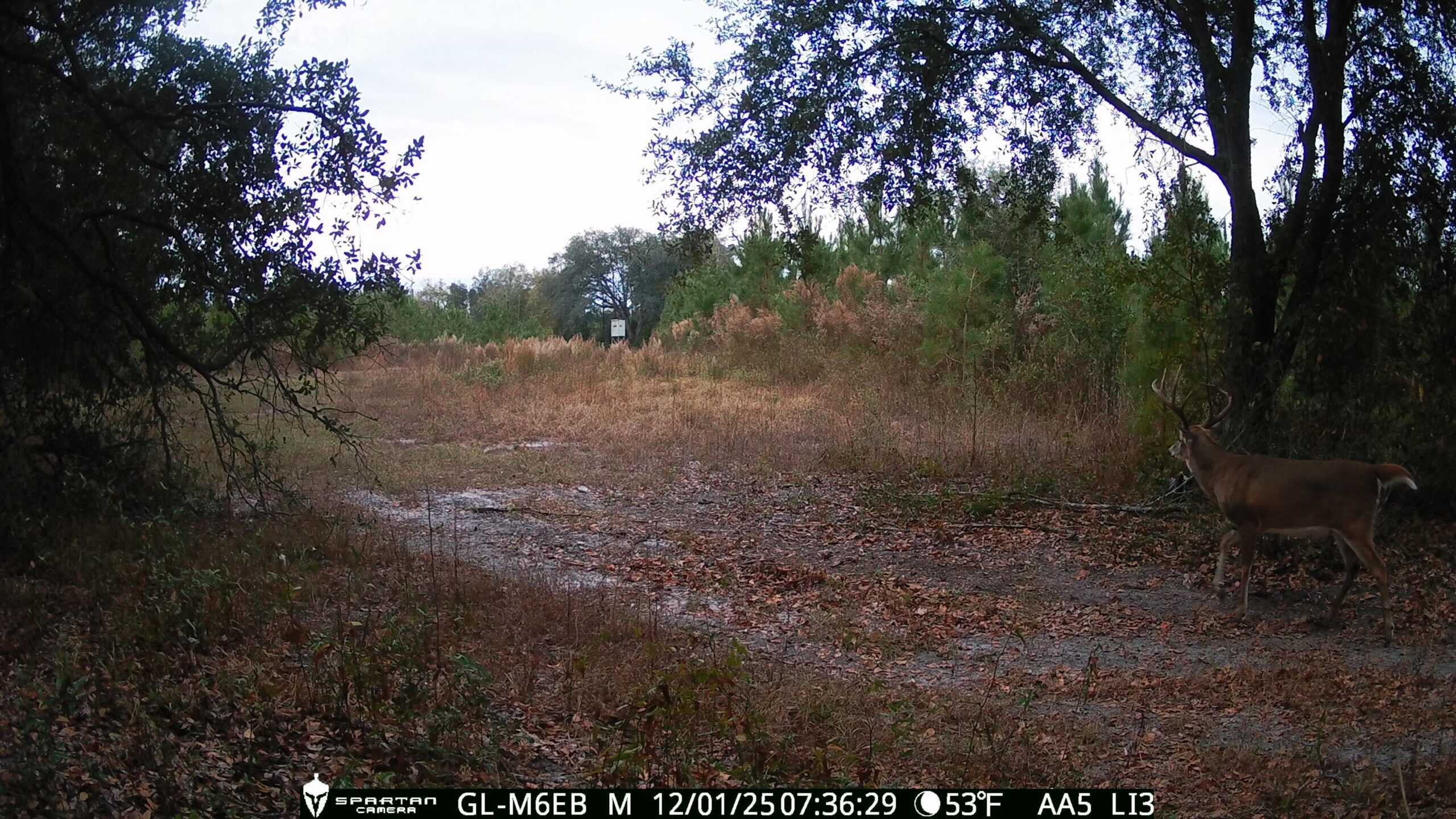 The best of South Georgia living-just outside of Vada, GA