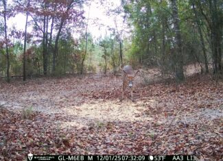 The best of South Georgia living-just outside of Vada, GA