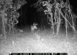 The best of South Georgia living-just outside of Vada, GA