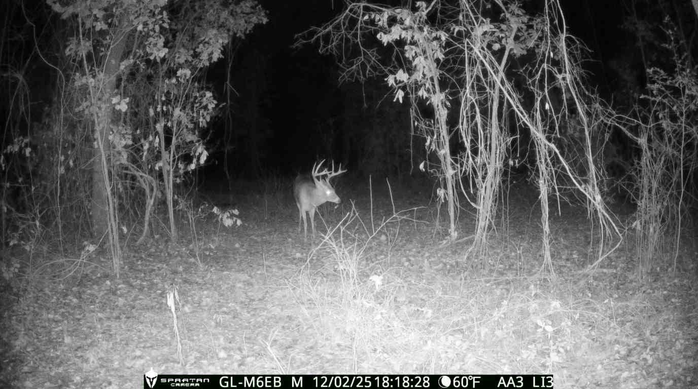 The best of South Georgia living-just outside of Vada, GA