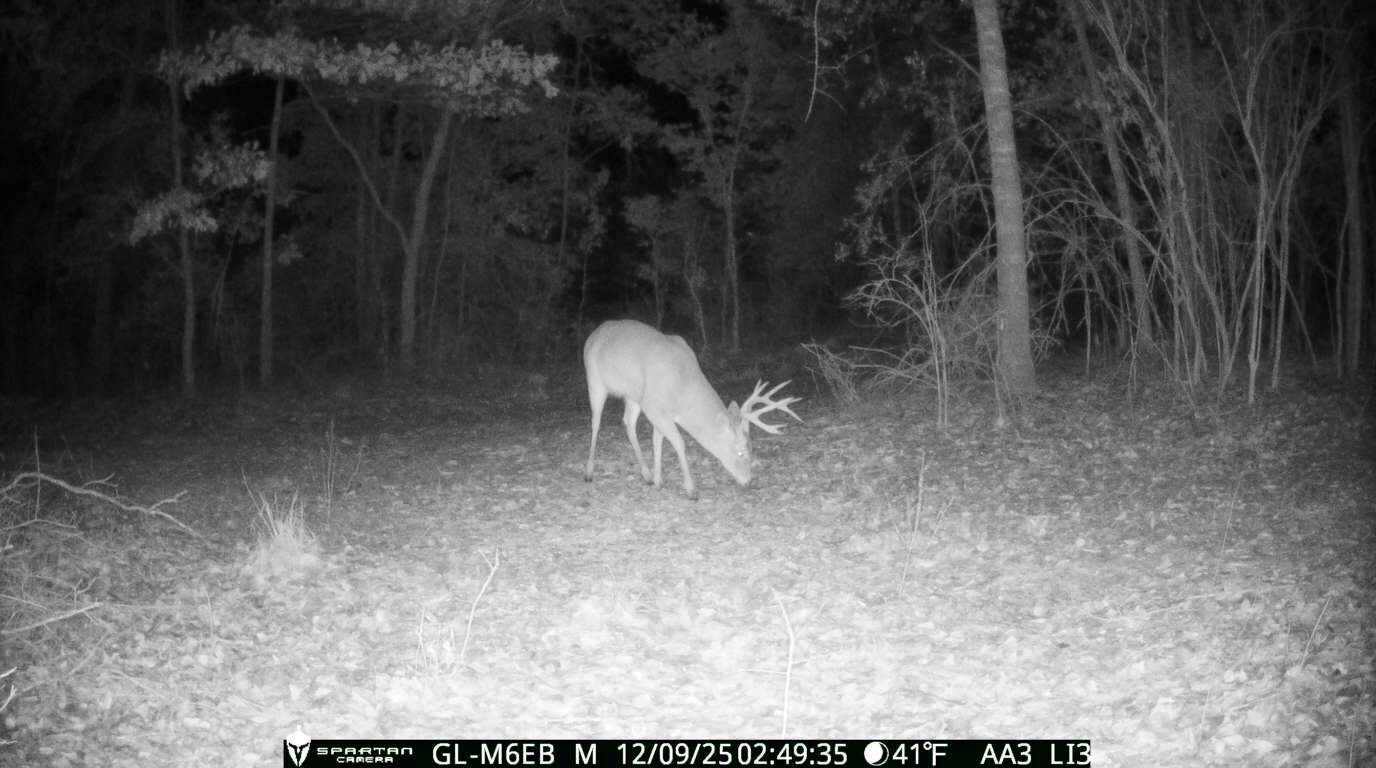 The best of South Georgia living-just outside of Vada, GA