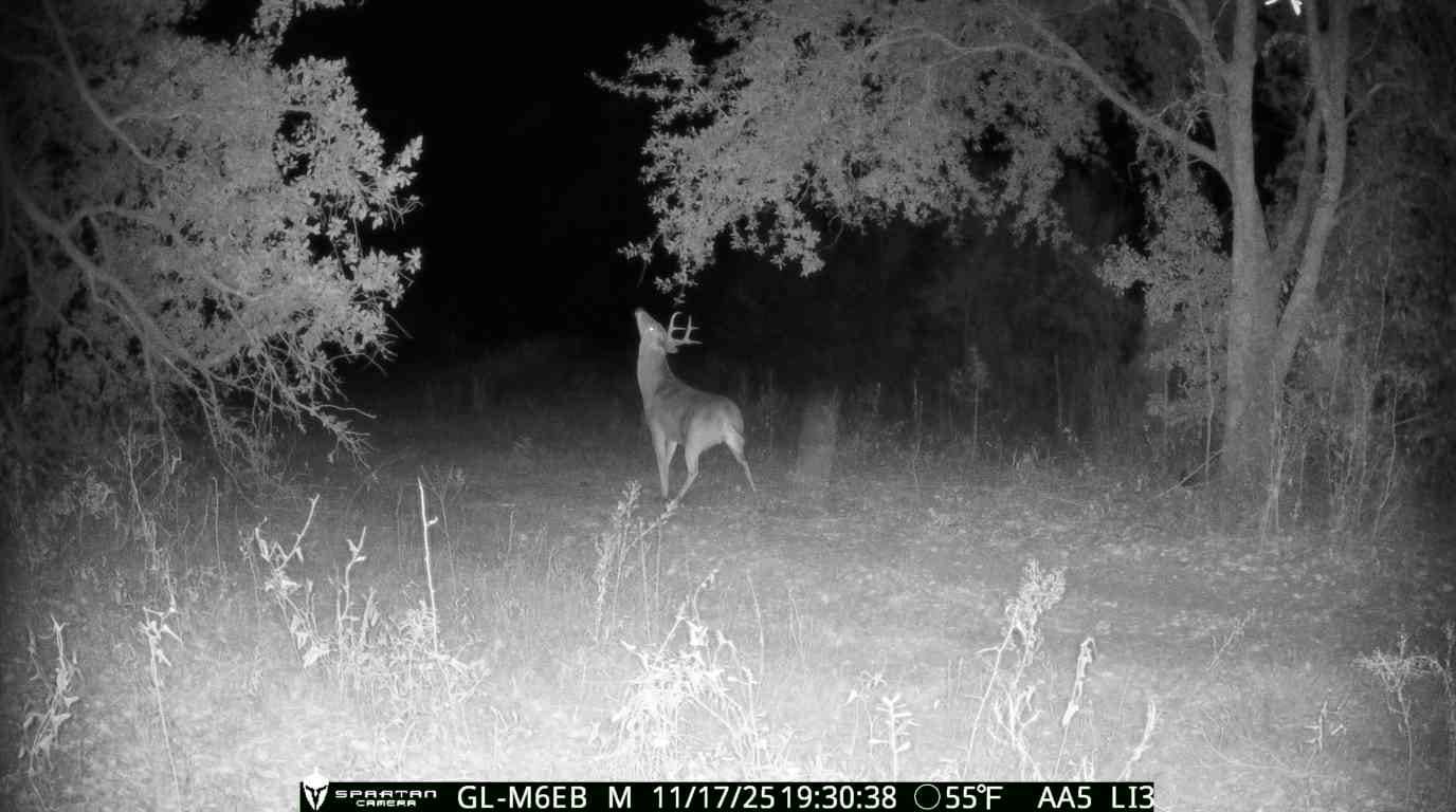 The best of South Georgia living-just outside of Vada, GA